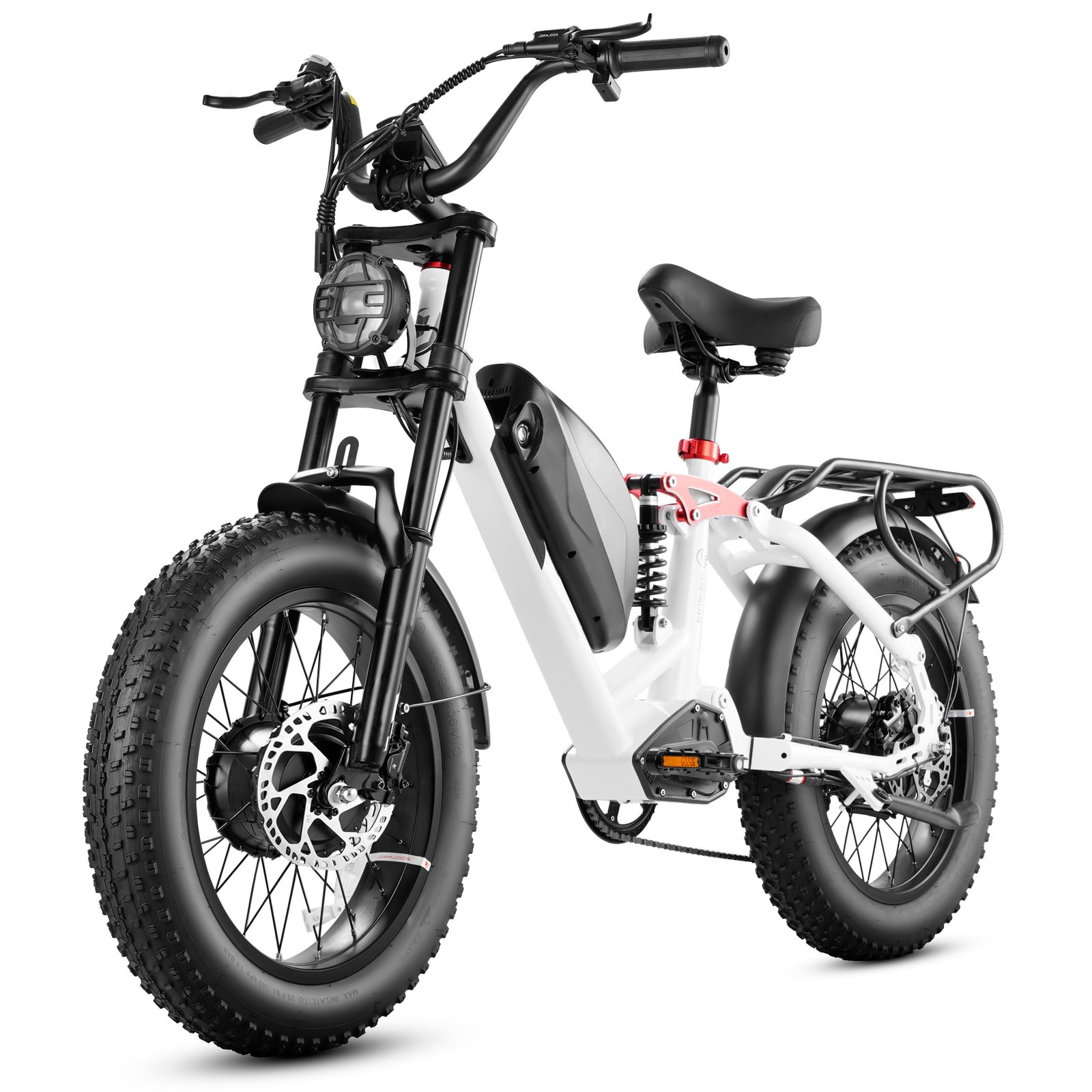 LUNA II Custom Motor Power 1000w E Bike 85N-m 48v 20ah Electric Bicycle City Cargo Fatire Electric Bike