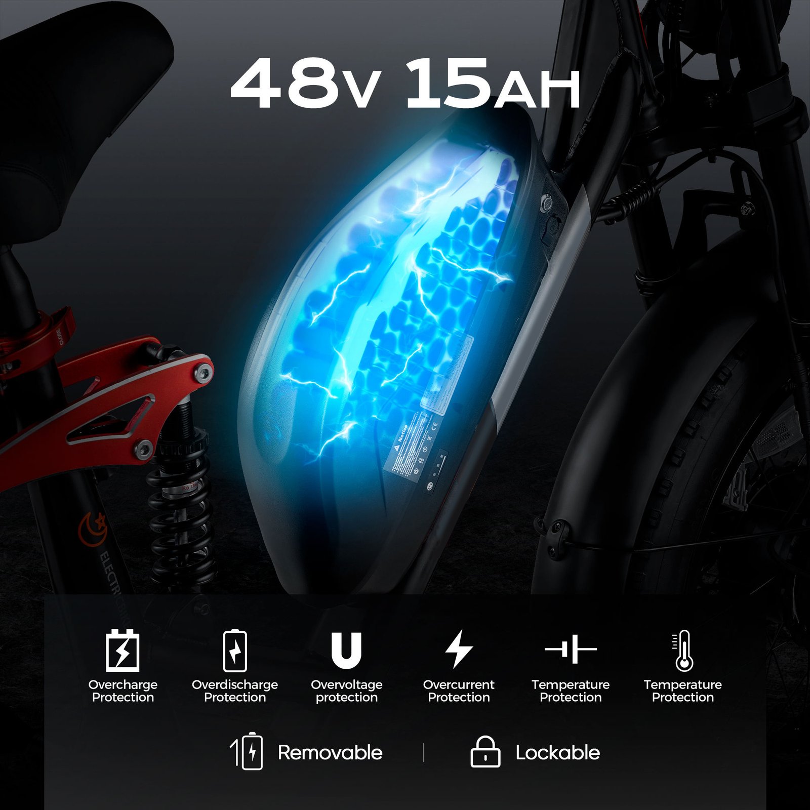 LUNA II Custom Motor Power 1000w E Bike 85N-m 48v 20ah Electric Bicycle City Cargo Fatire Electric Bike