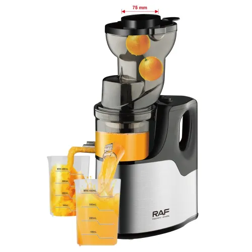 SLOW JUICER 
